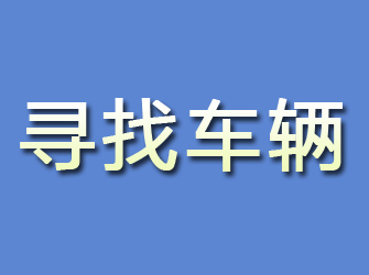 爱民寻找车辆